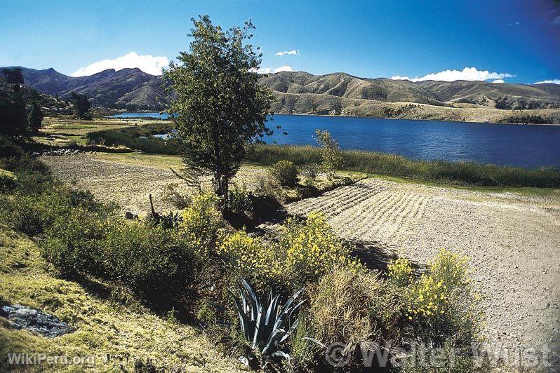 Laguna de Paca