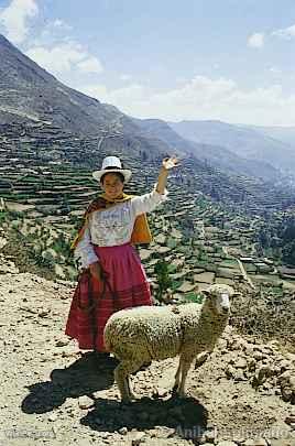 Campesina de Tarma