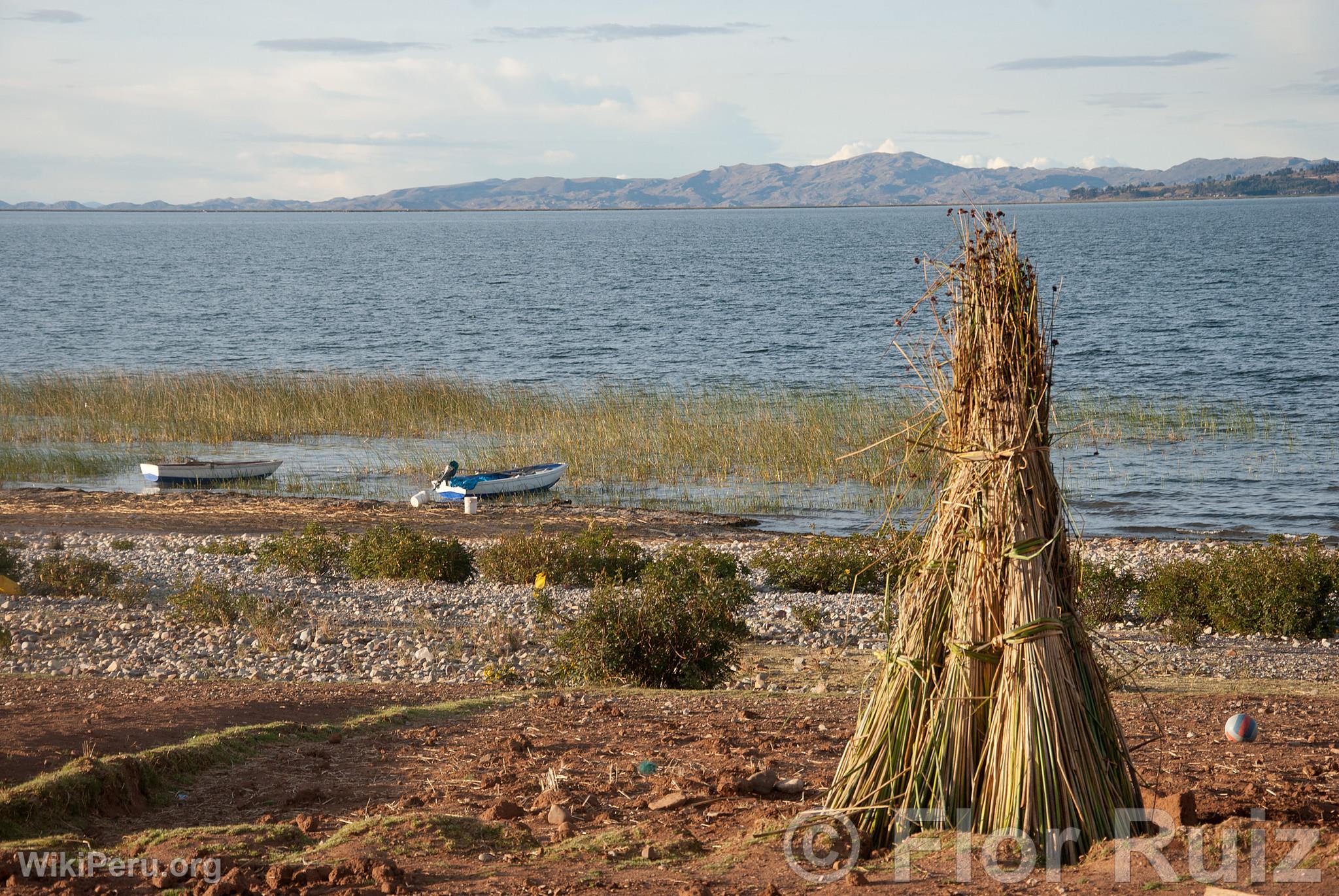 Comunidad de Luquina chico y Lago Titicaca