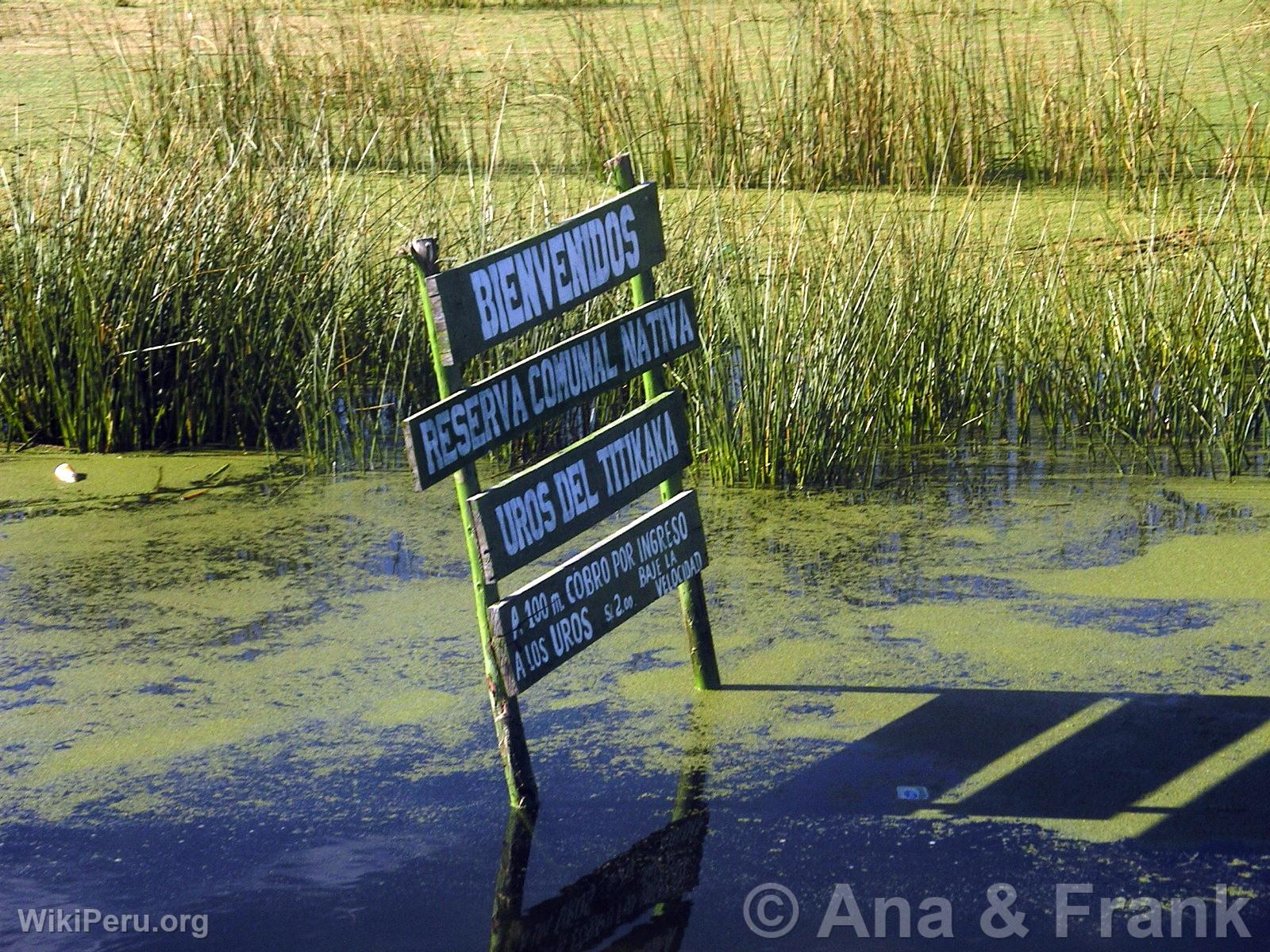 Entrada en la Reserva de los Uros