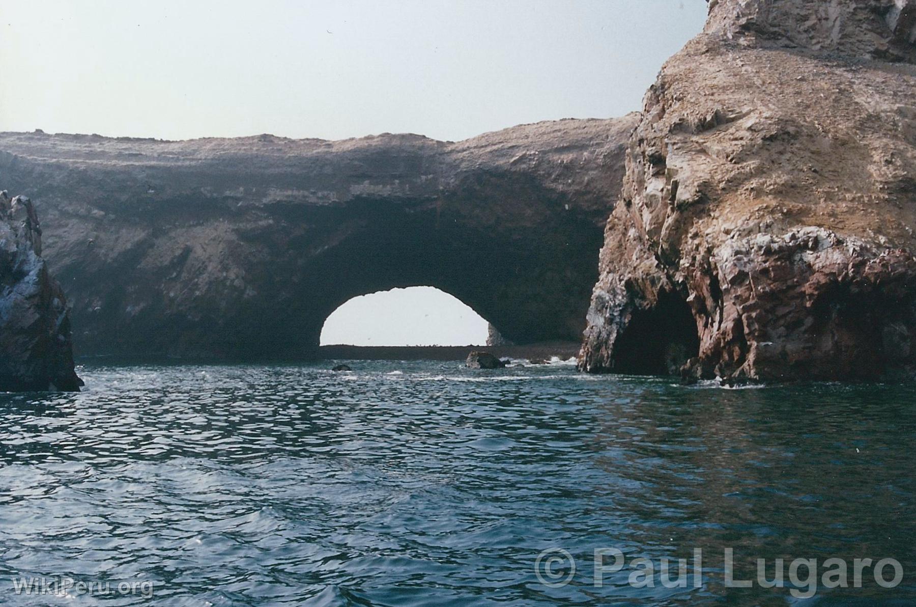 Islas Ballestas, Paracas