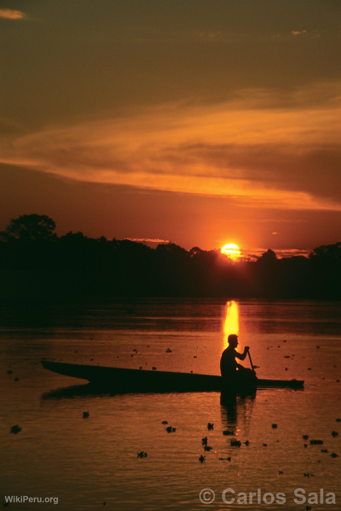 Laguna El Dorado, Pacaya-Samiria