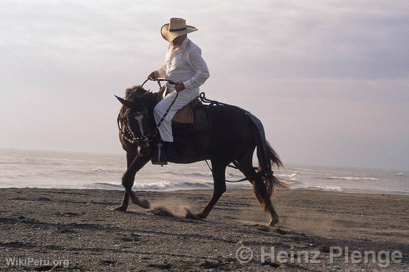 Caballo de paso