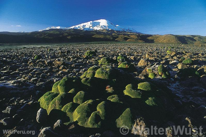 Valle de los Volcanes, Arequipa