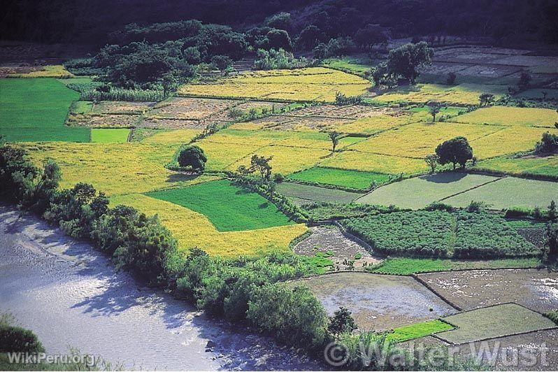 Ro Huancabamba