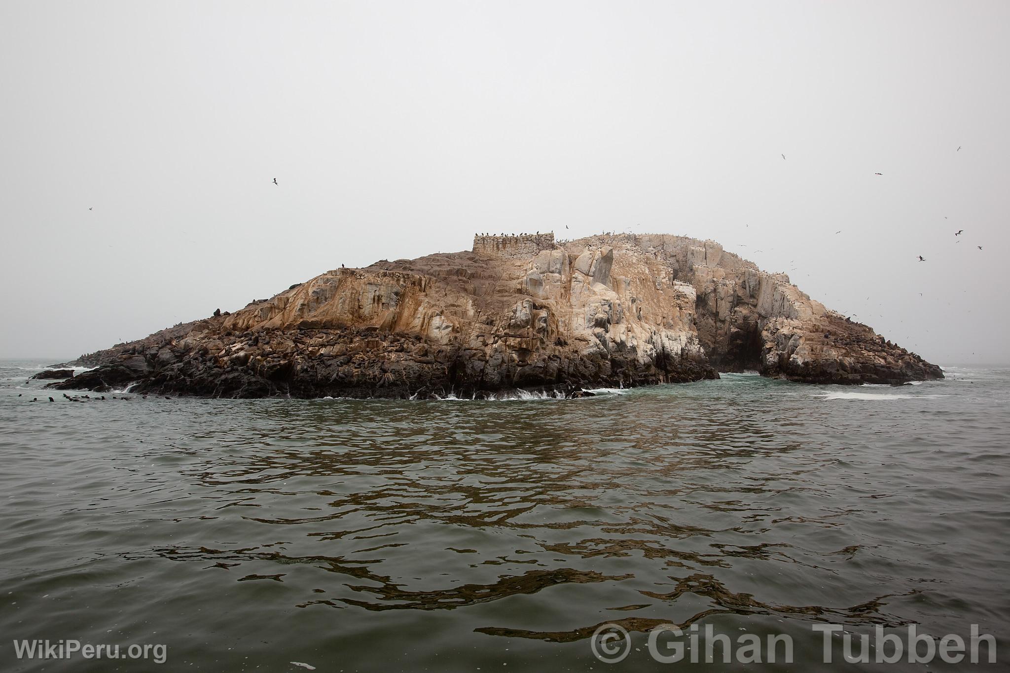 Islas Palomino, Callao