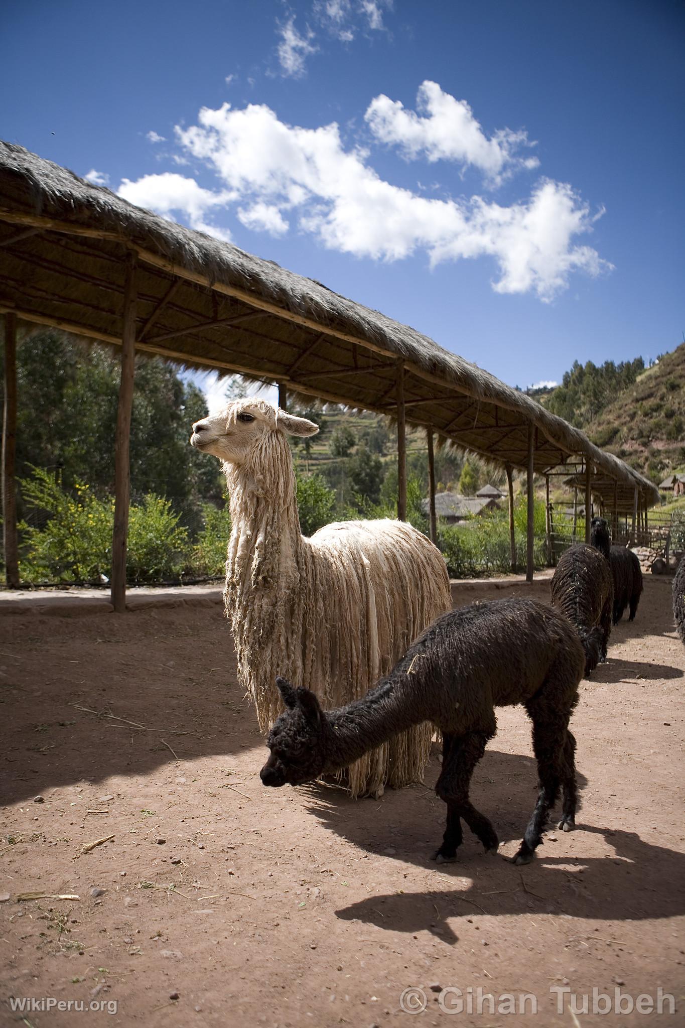 Centro de produccin textil