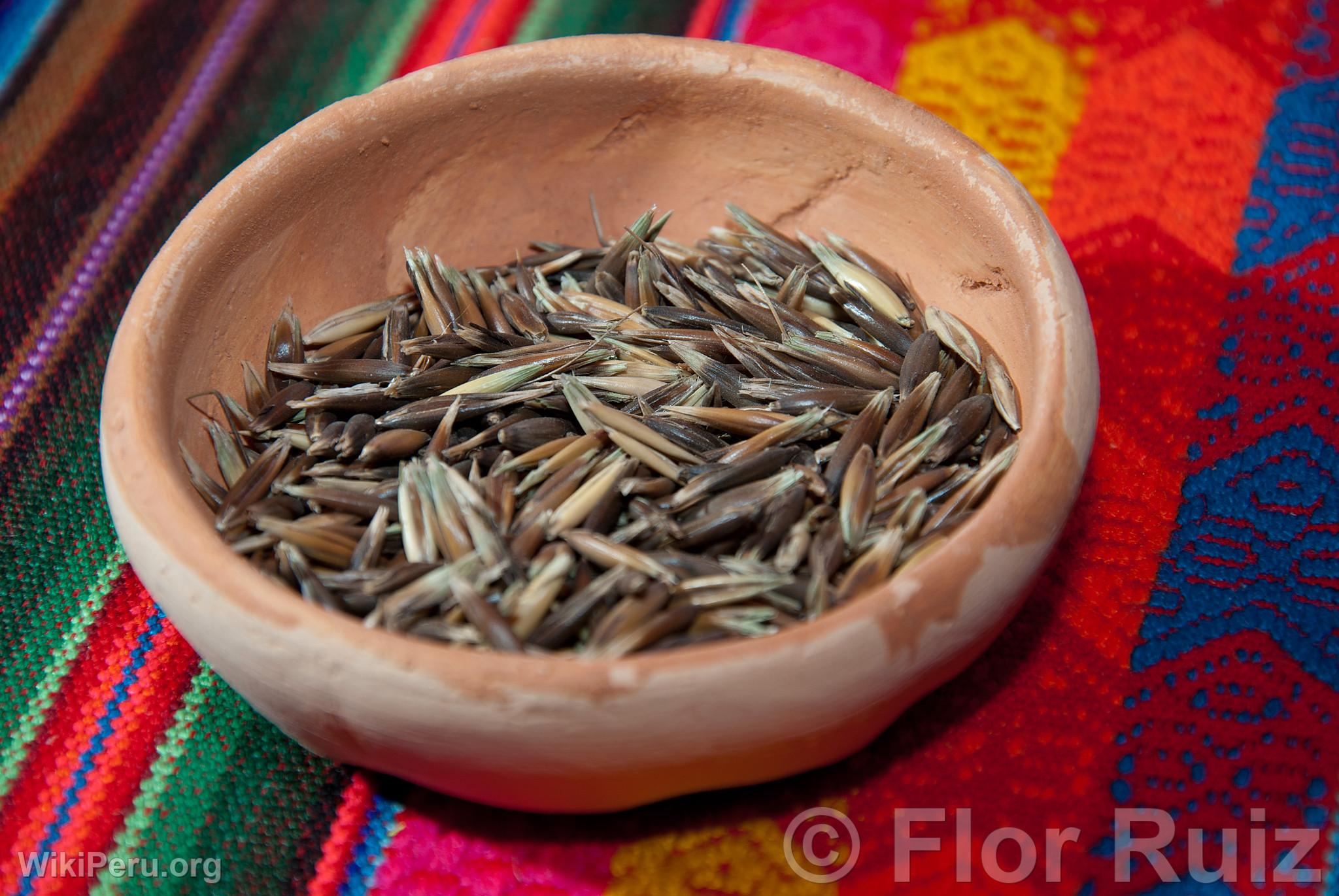 Granos de avena