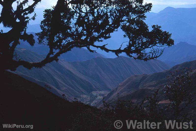 Parque Nacional de Cutervo