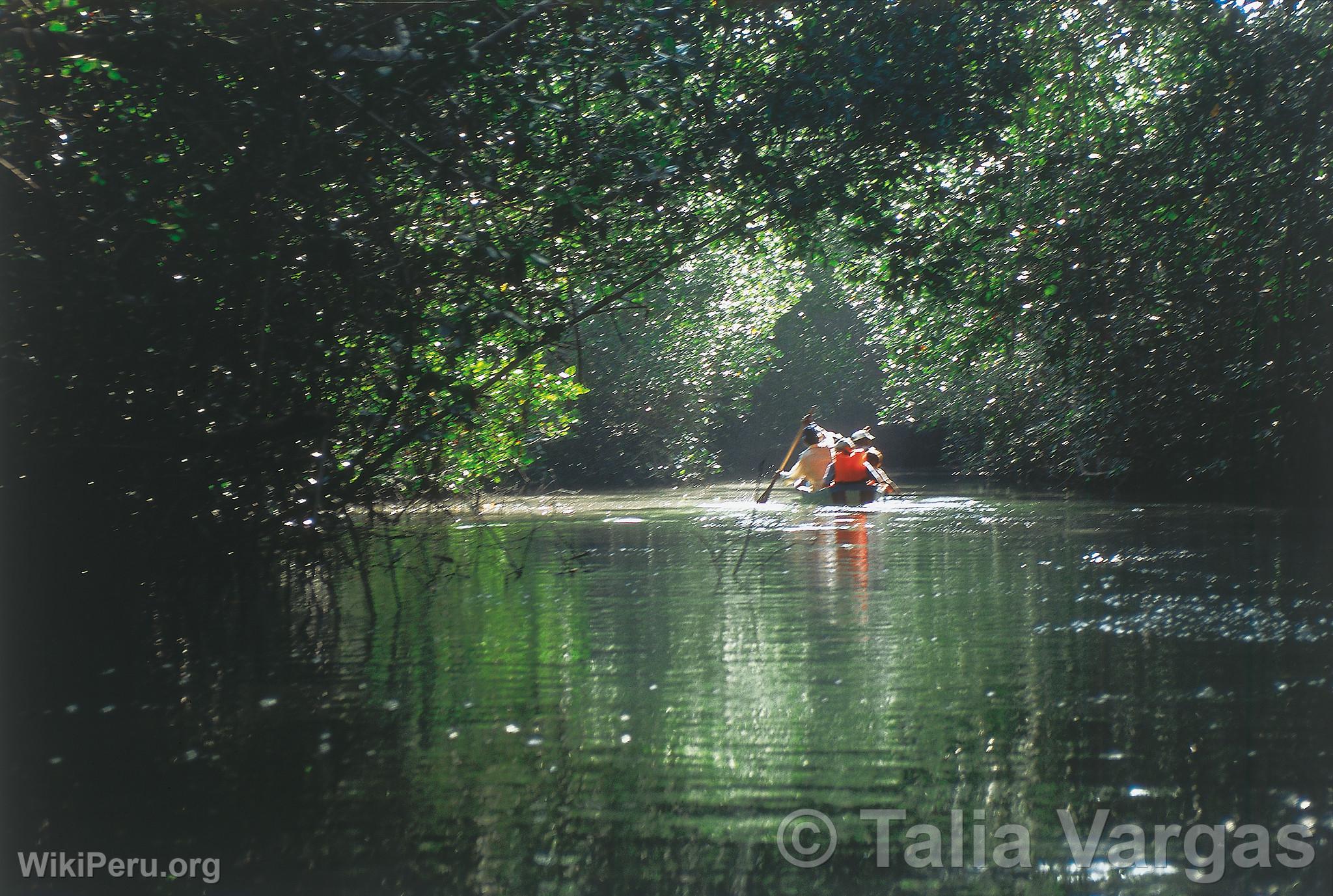 Manglares de Tumbes