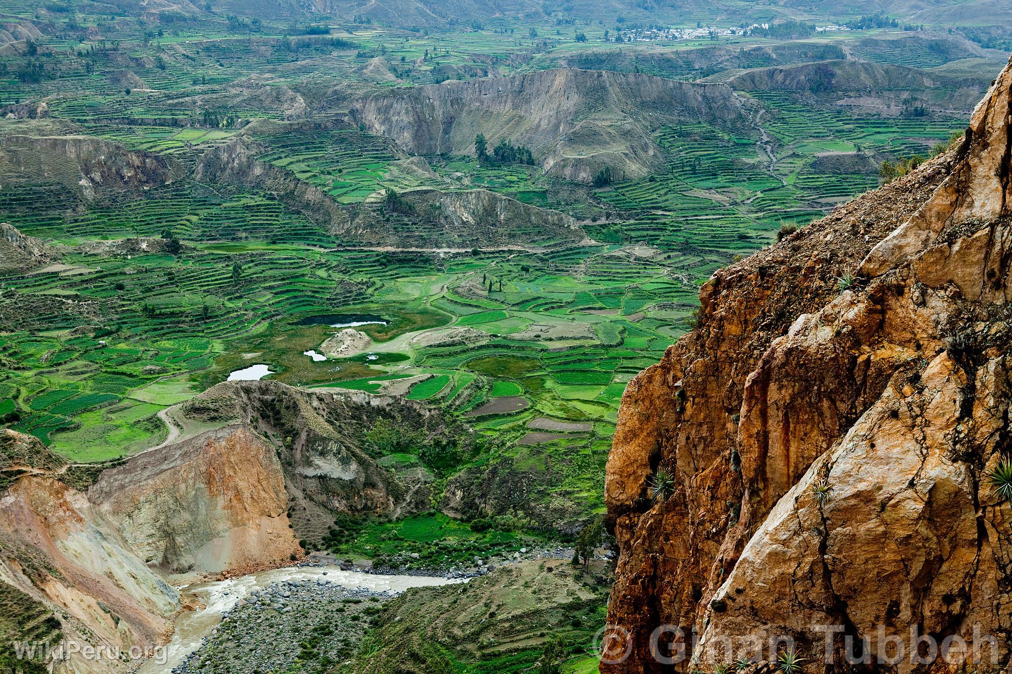 Can del Colca