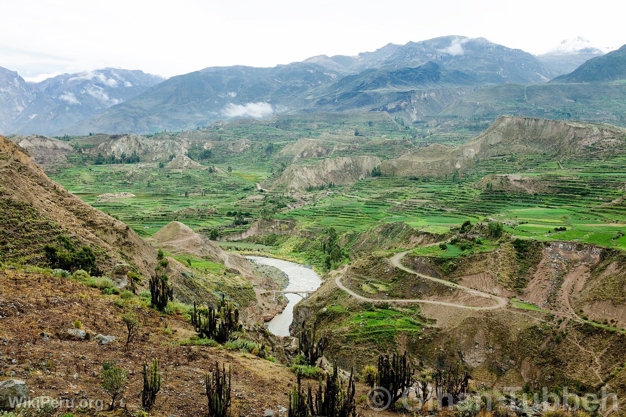 Can del Colca