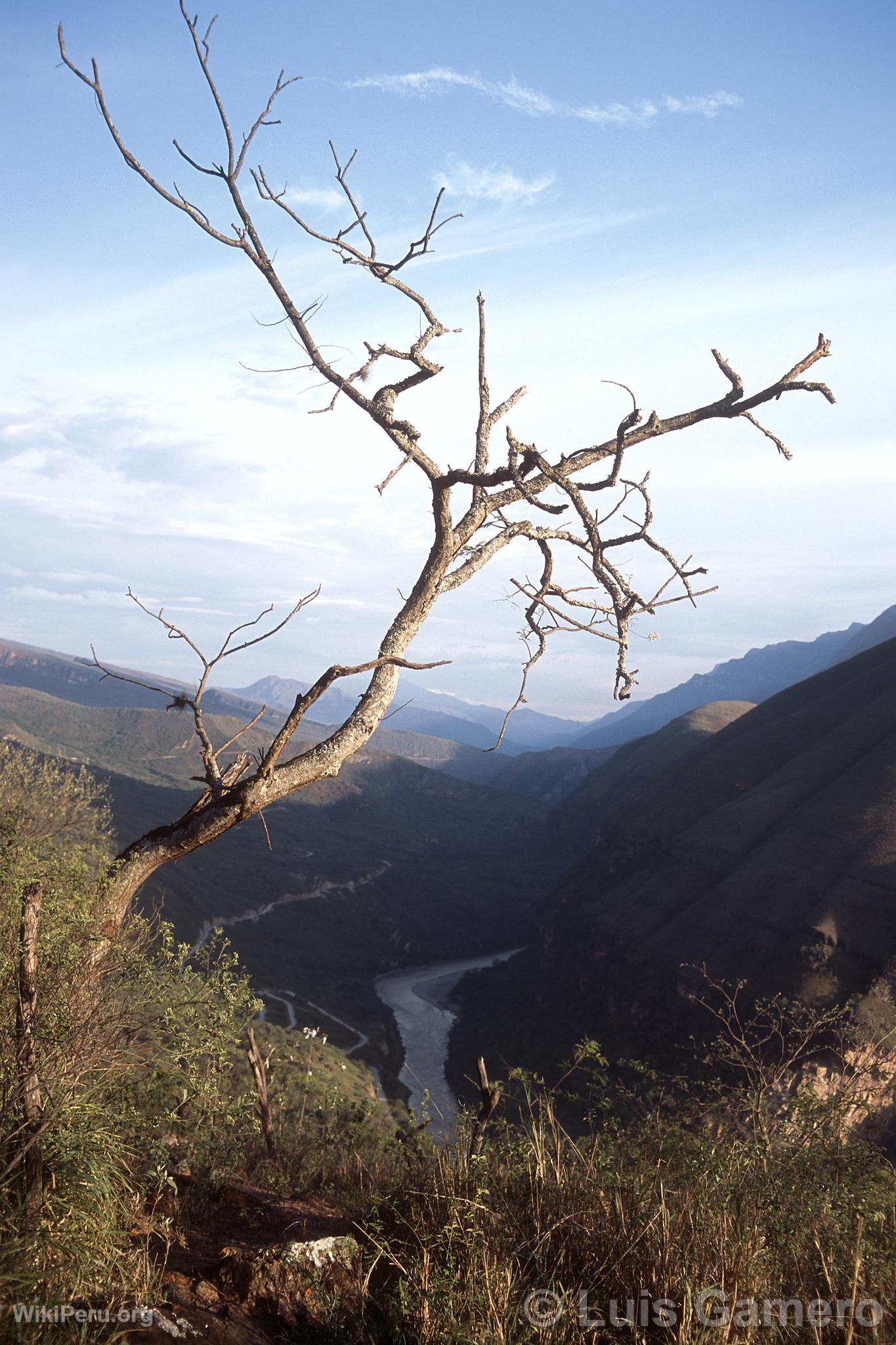 Bosque Seco de Yamon