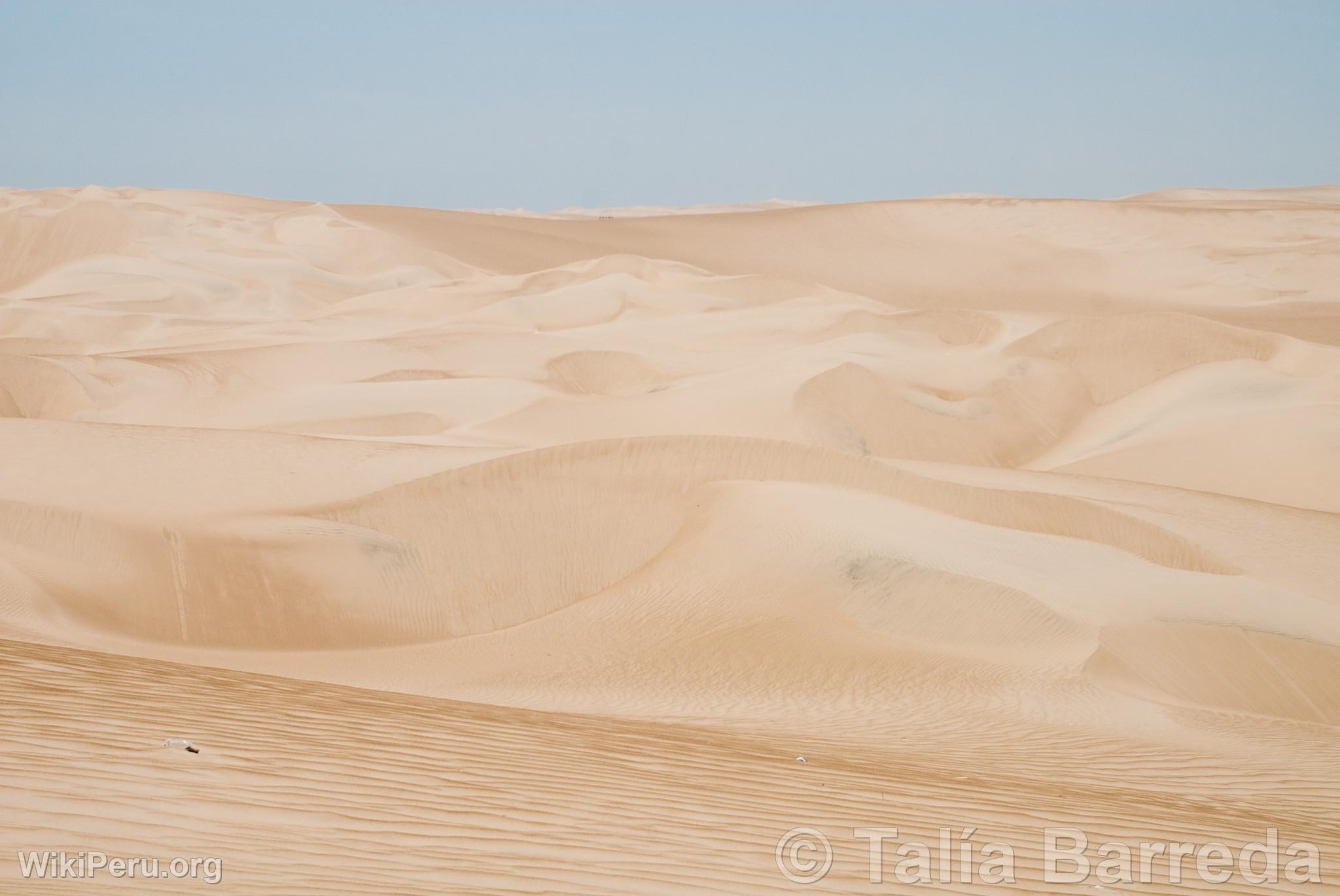 Desierto de California