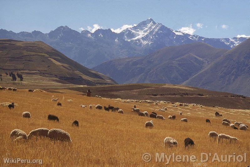 Camino a Moray. Urubamba