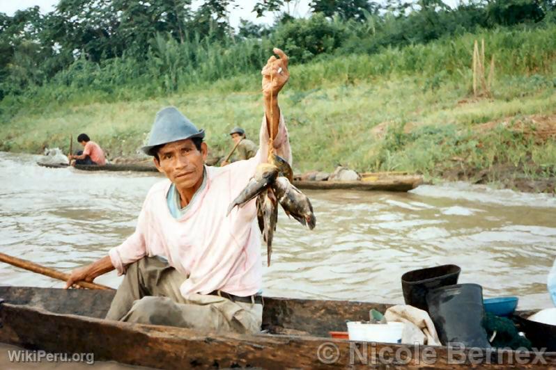 Pescador en el ro Ucayali