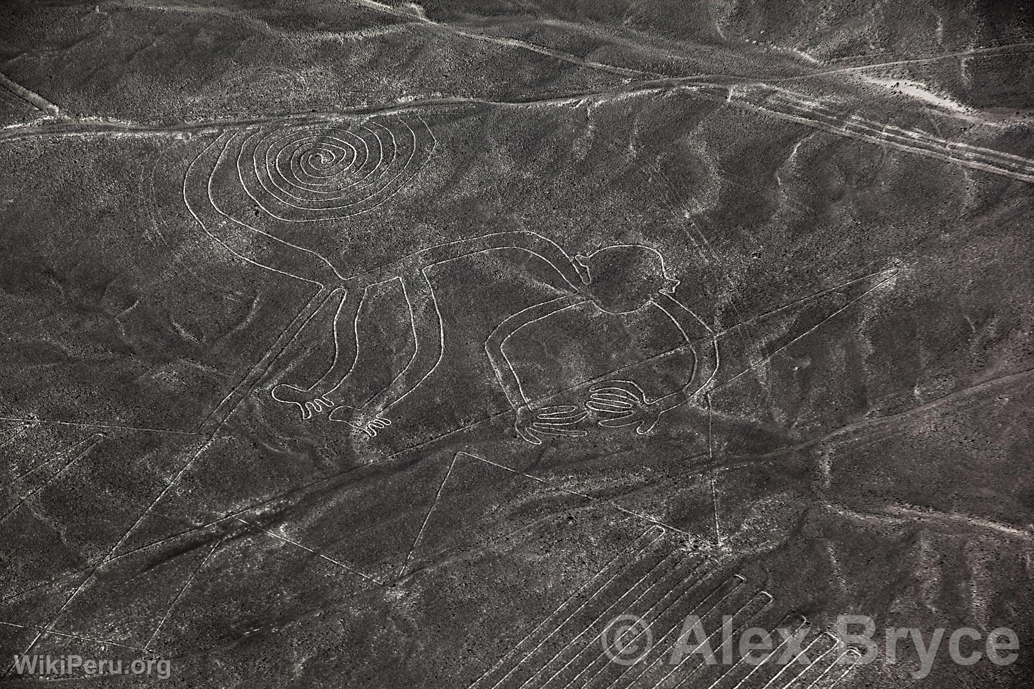 Lneas de Nazca