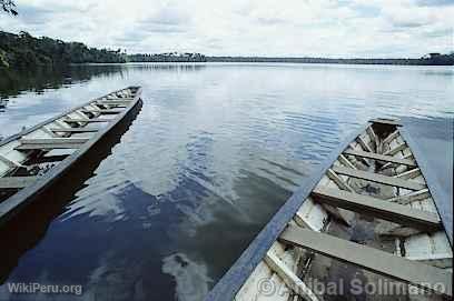 Lago Sandoval, Manu