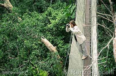 Observatorio de aves