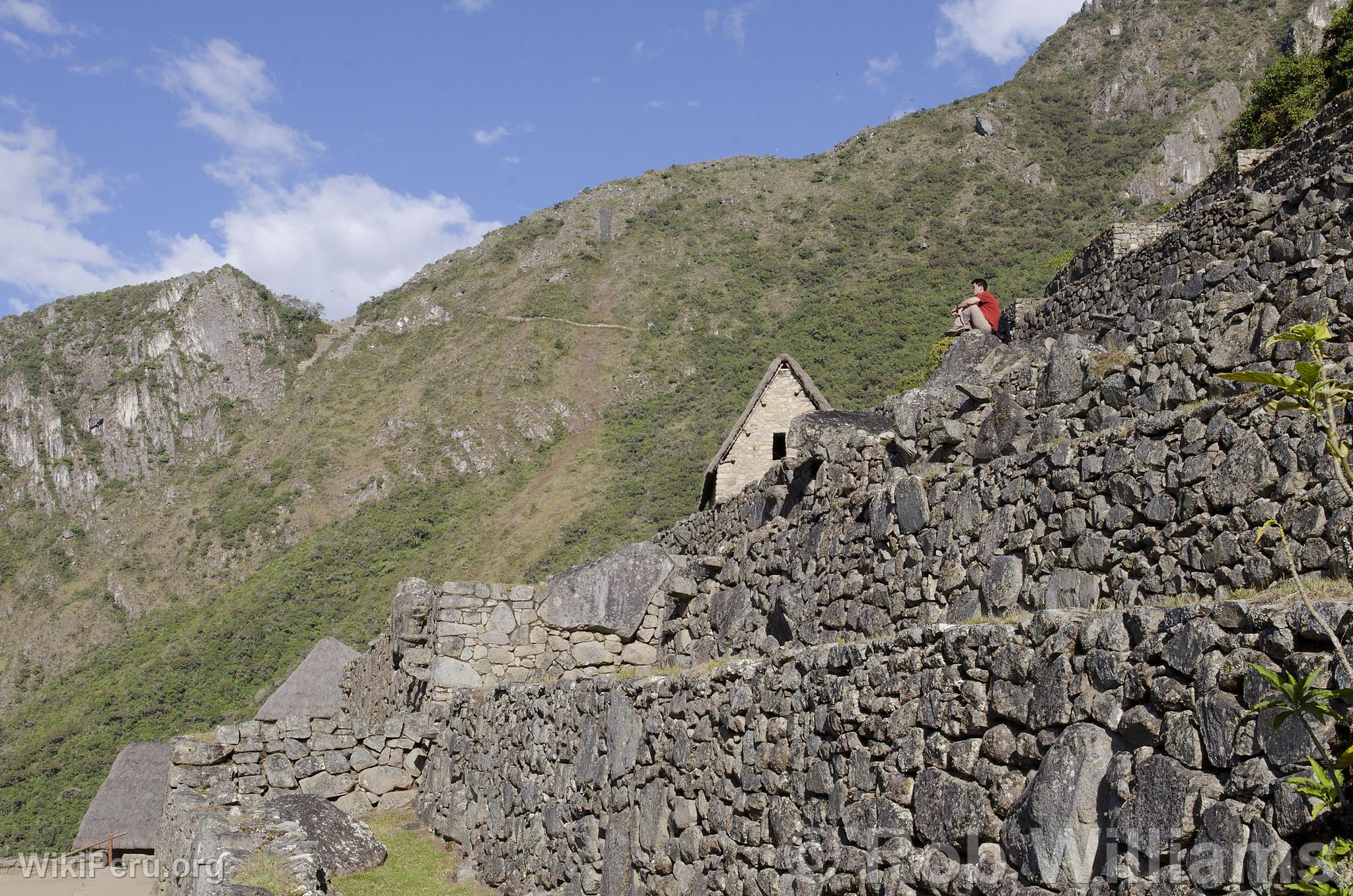 Turista en Machu Picchu