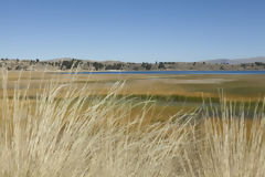 Lago Titicaca