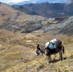 Cordillera Blanca