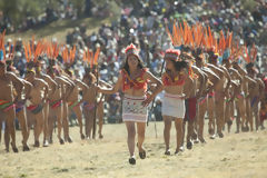 Festival del Inti Raymi, Cuzco