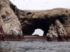 Islas Ballestas, Paracas