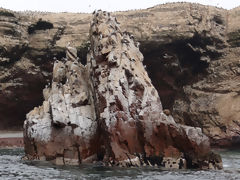 Islas Ballestas, Paracas