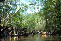 Reserva de Tingana