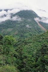 Parque Nacional Yanachaga-Chemilln