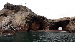 Islas Ballestas, Paracas