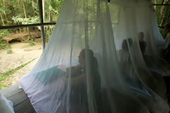 Turistas en albergue en el Parque Nacional del Manu