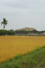 Valle de las Pirmides de Tcume