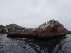 Islas Ballestas, Paracas