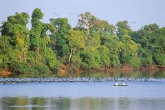 Reserva Nacional Pacaya-Samiria