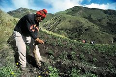 Agricultor con chaquitaclla, Calquichico