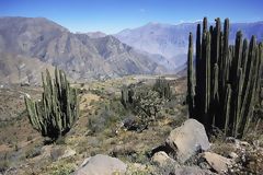 Valle del Colca