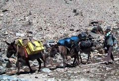 Cordillera Blanca