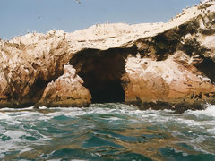 Islas Ballestas, Paracas