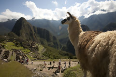 Ciudadela de Machu Picchu