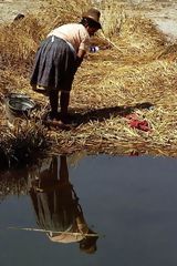 Isla flotante, Uros