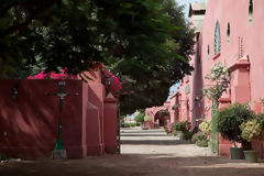 Bodega y Viedo Tacama