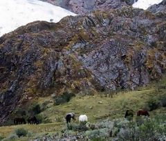 Cordillera Blanca