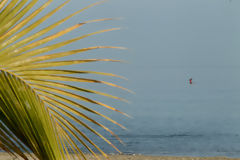 Playa Cabo Blanco