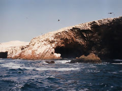 Islas Ballestas, Paracas