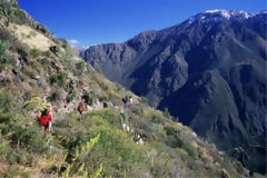 Can del Colca