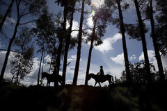 Paseos a Caballo en Sacsayhuamn