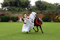 La Marinera y el caballo de paso