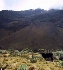 Cordillera Blanca